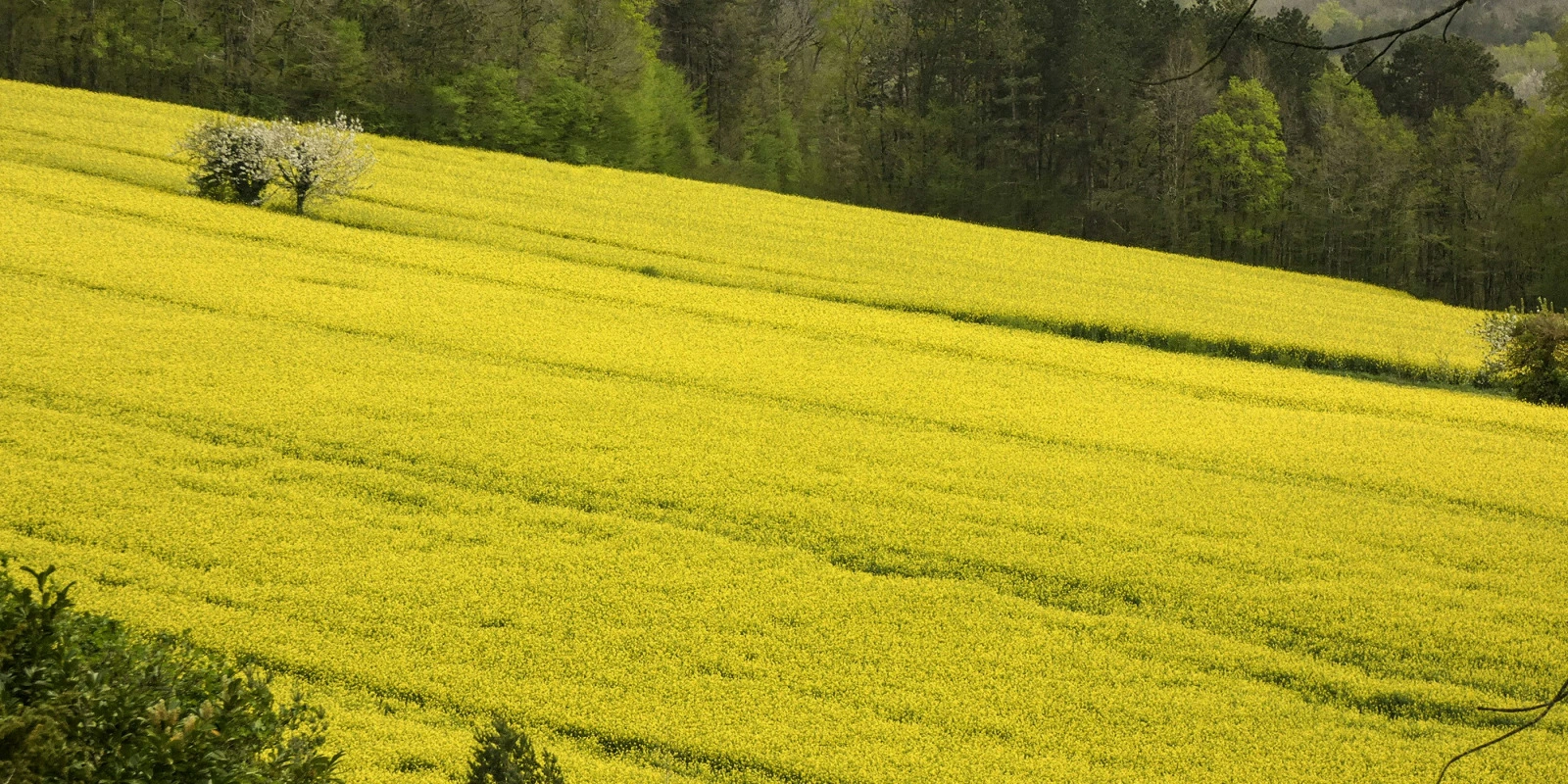 BUT MTEE : Les Métiers de la Transition Énergétique